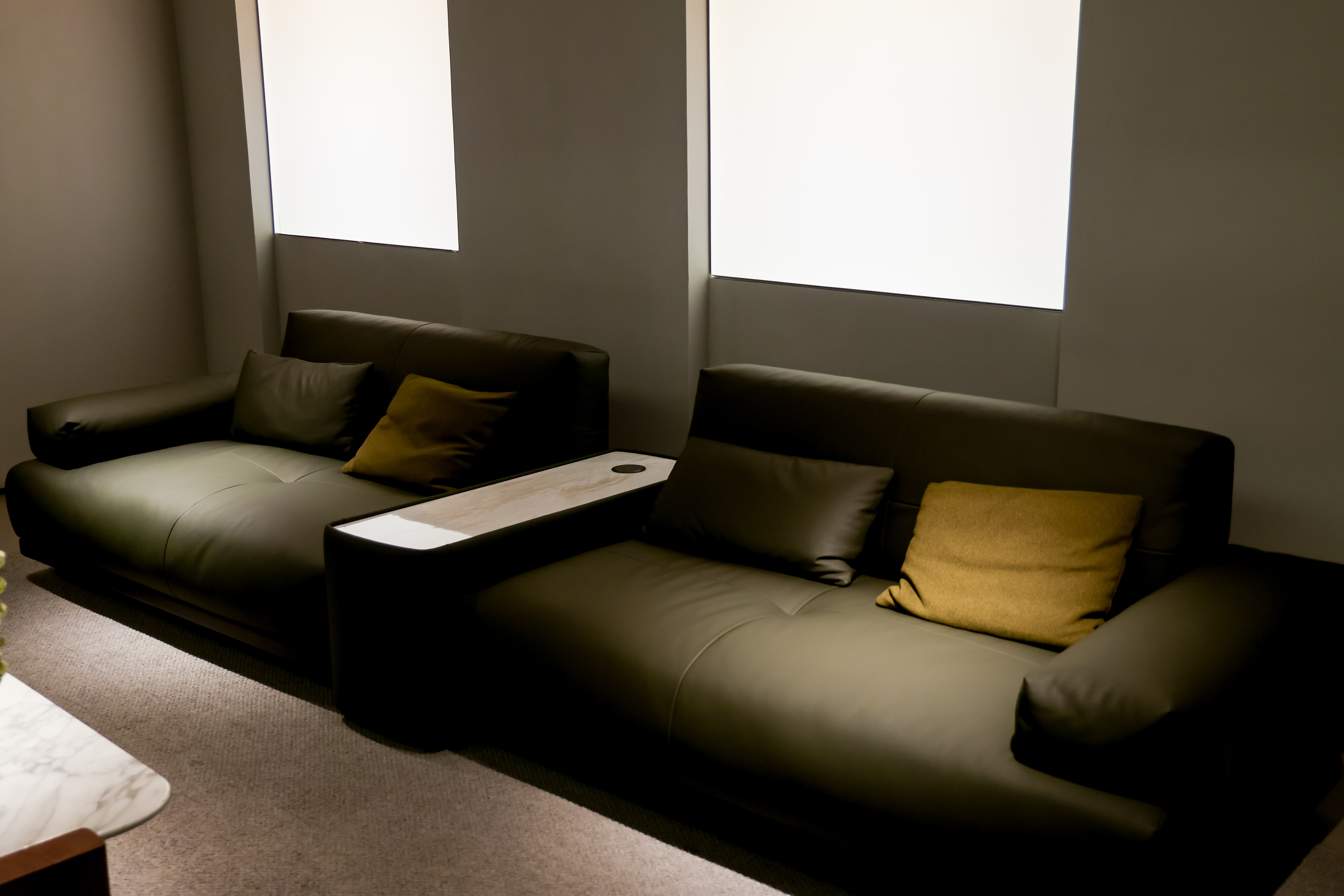 VJ6-2501  Combination Sofa  Comfortable and soft to sit on - Chiuchiufurniture