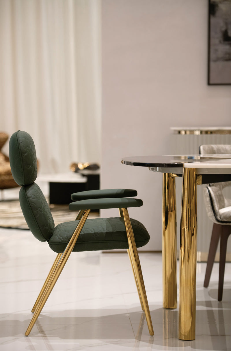 WH313D5 Dining chair