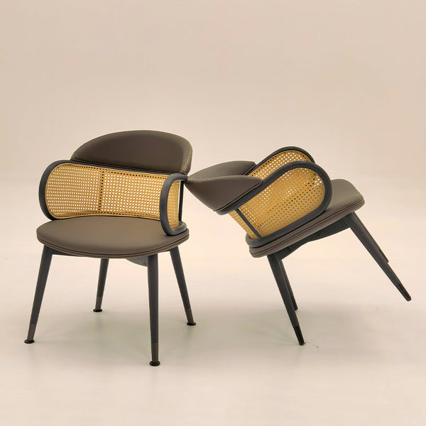 AW-CY59 Dining Chair
